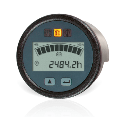 BAUSER(鲍瑟)TFT彩色显示器 806型